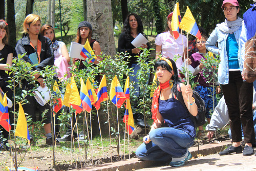 Mujer con banderas de Colombia