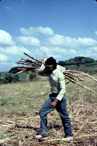 Karl Flecker, como trabajador migrante en Filipinas